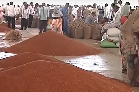 Telangana’s tur dal farmers face yet another uncertain season