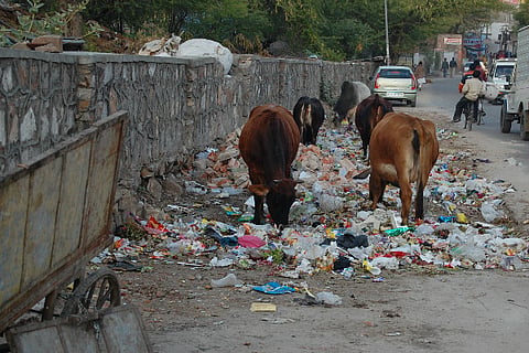 Alappuzha, Mysuru among cleanest cities in India, Delhi at the bottom: Survey