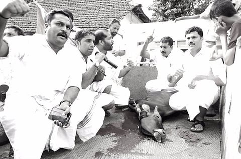 Kerala Youth Congress slaughters cattle in public as protest, BJP livid