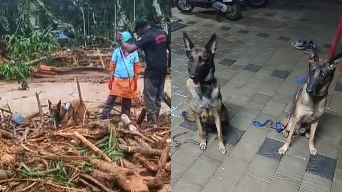 Wayanad landslide: Maya & Murphy from Kerala police dog squad help ...