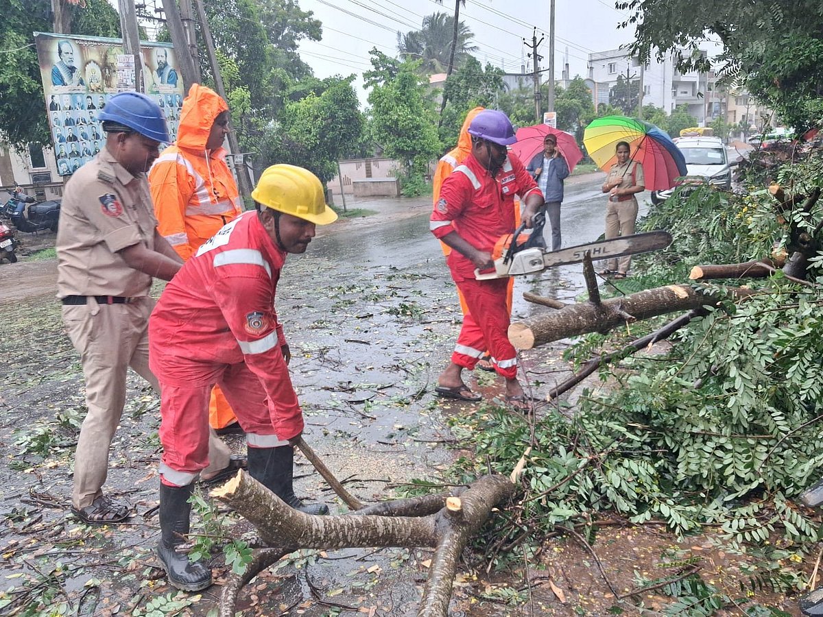 Cyclone Arnab impact in Andhra: Five feared dead, extensive crop damage reported
