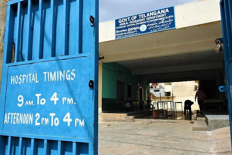 cat clinic veterinary place near me