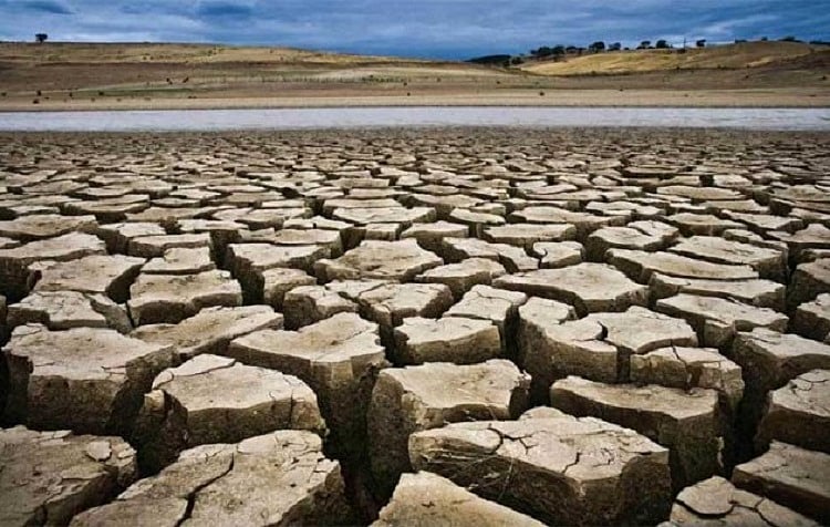 195 taluks in Karnataka declared drought hit