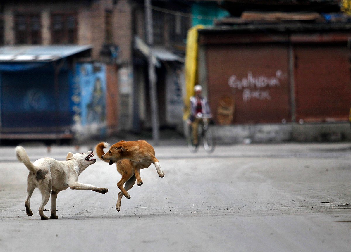 Picture used for representational purpose. (Photo: Reuters)
