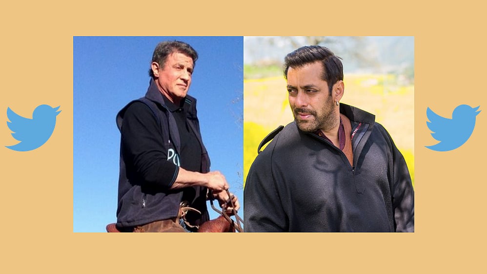 (Courtesy: <a href="https://twitter.com/TheSlyStallone/media">Twitter/@TheSlyStallone</a>; <a href="https://twitter.com/khanarpita/media">Twitter/@Khanarpita</a>)