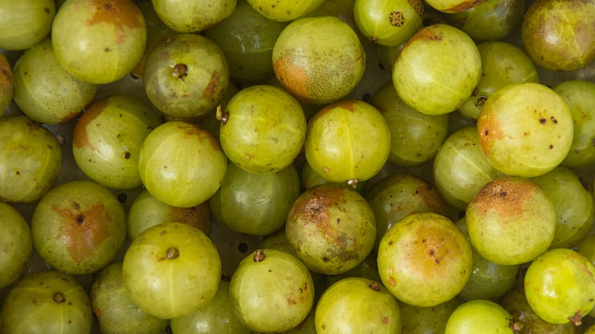 Amla State of Mind (Photo: iStockphoto)