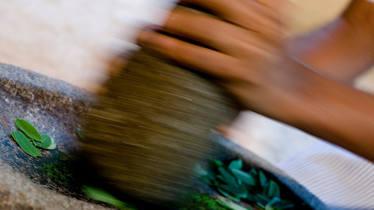 Leaves being ground to prepare Ayurvedic medicine. (Photo: iStock)