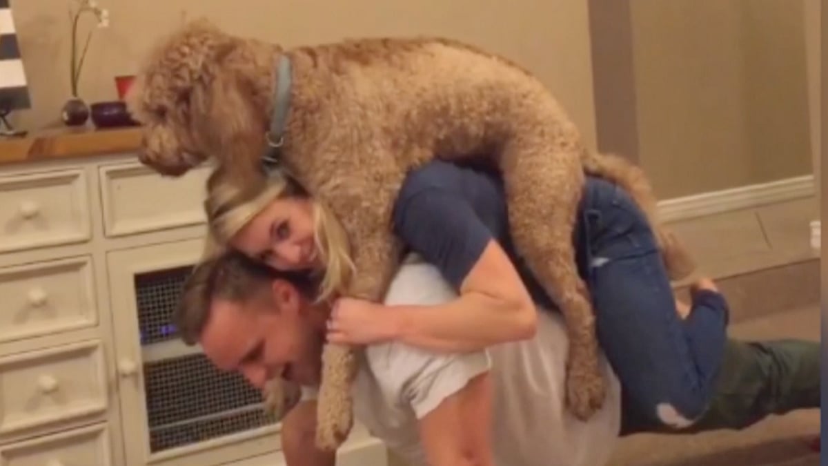 Mike and Lex Sawtelle, known online as ‘Jacked and Jill’, attempt humorous workouts featuring their pet Wrigley.