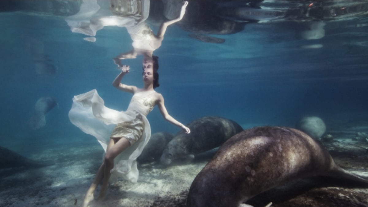 A photo from  the underwater photoshoot. (Photo Courtesy: AP Screen Grab/ Cater News/&nbsp;Jerry Farris)