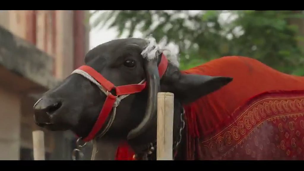 Miss Tanakpur in question from the movie trailer on <a href="https://www.youtube.com/watch?v=qtg99-HNBmI">YouTube</a>.