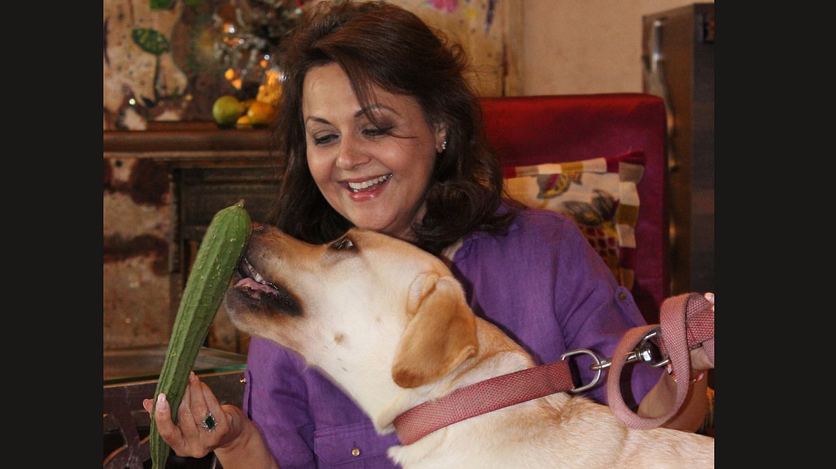 Vandana Malik’s weight loss journey is one for the books! (Photo: <b>The Quint</b>)