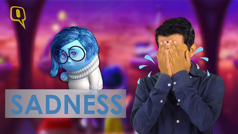 The movie <i>Inside Out </i>brings alive our 5 basic emotions