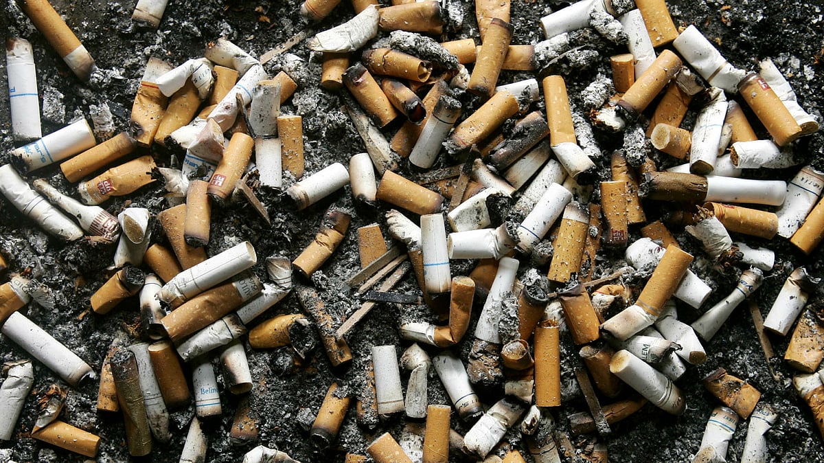 Cigarette butts lie in an ashtray outside a Montreal office building. (Photo: Reuters)