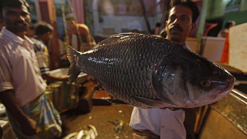 story-hero-img