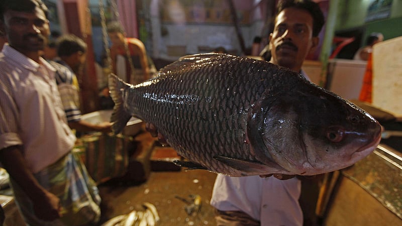 The Bengali’s love for fish is well known. A fishmonger in Kolkata displays his catch of the day. (Photo: Reuters)