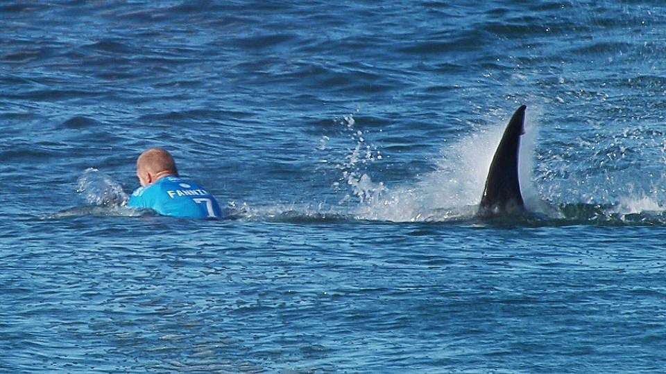 In this image made available by the World Surf League, Australian surfer Mick Fanning is pursued by a shark, in Jeffrey’s Bay, South Africa. (Photo: AP)