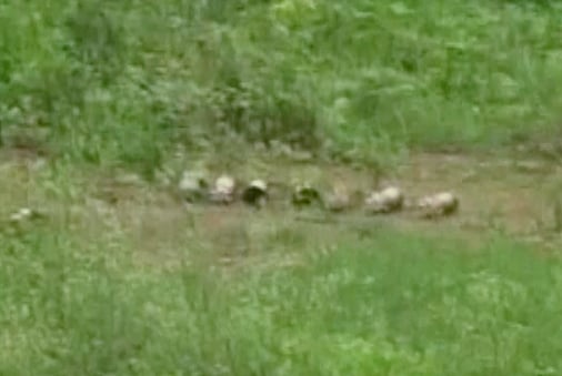 Explosives found near rail tracks in Shahbad. (Photo: ANI screengrab)