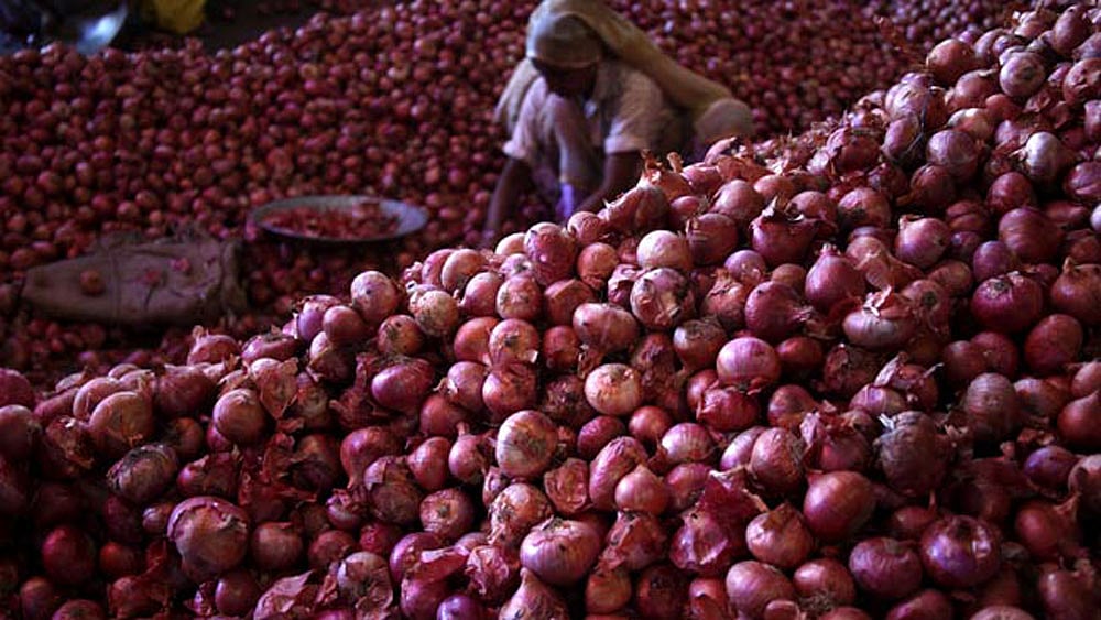 (Photo: Reuters)