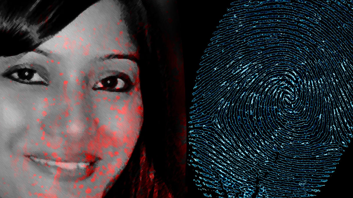 The CBI special court has sent judicial requests to USA, Singapore and Hong Kong in the Sheena Bora murder case. (Photo: <b>The Quint</b>)