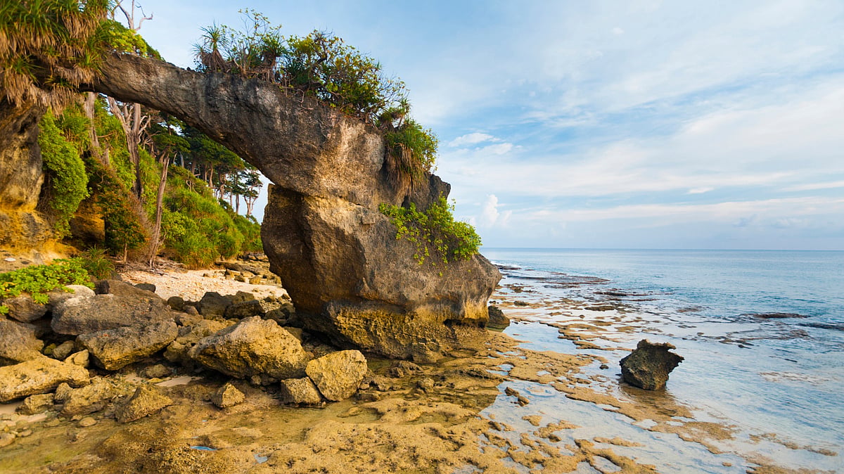 The Indian coast has lost a net area of about 73 sq km. (Photo: iStock)