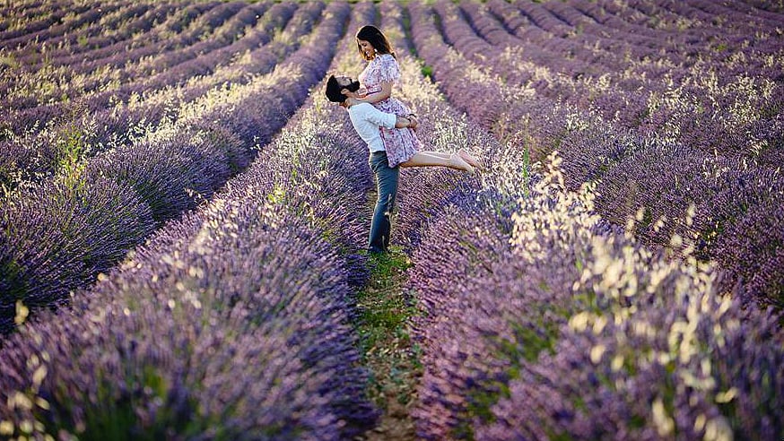 Cricketer Dinesh Karthik &amp; Dipika Pallikal at a pre-wedding photo shoot in
the lavender fields of Provence, France  <i>(Facebook page:  <a href="https://www.facebook.com/storiesbyjosephradhik?fref=photo">Stories by Joseph Radhik</a>)</i>