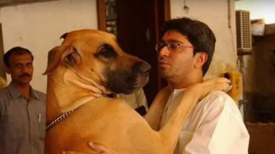 Raj Thackerey with his pet dog. (Photo: YouTube/<a href="https://www.youtube.com/watch?v=6zG1TmUwPuU">shrikantgavali</a>)