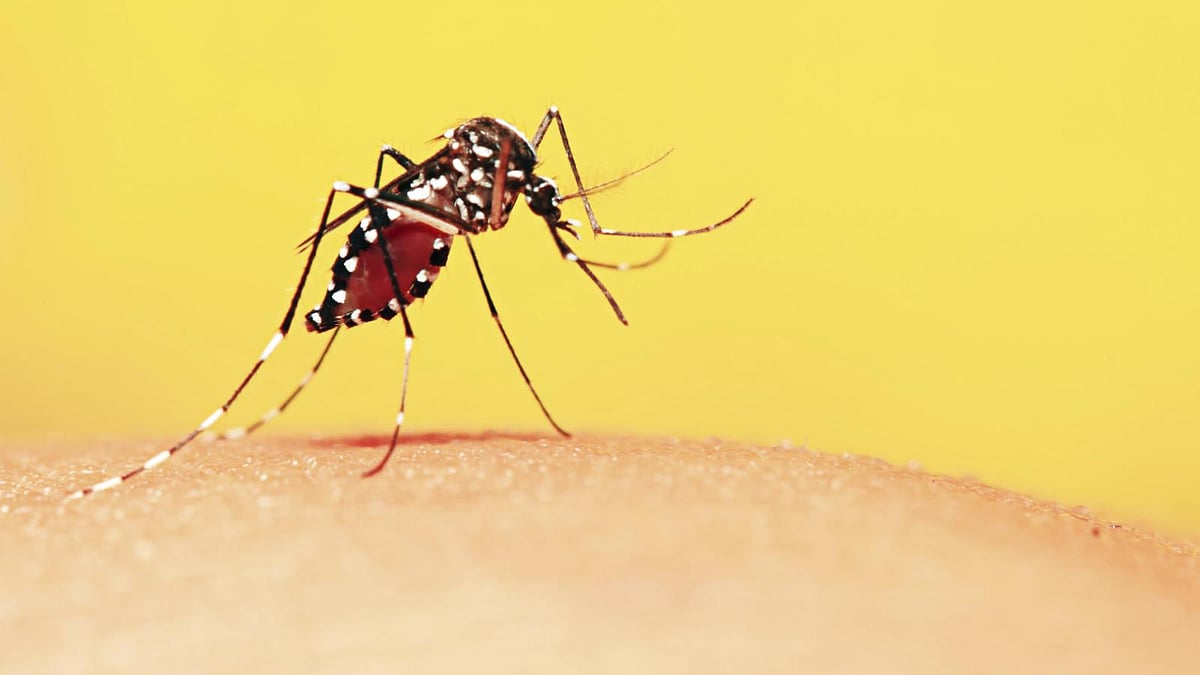 Praveen Sharma from east Delhi died of cerebral malaria at Safdarjung hospital. (Photo: iStock)