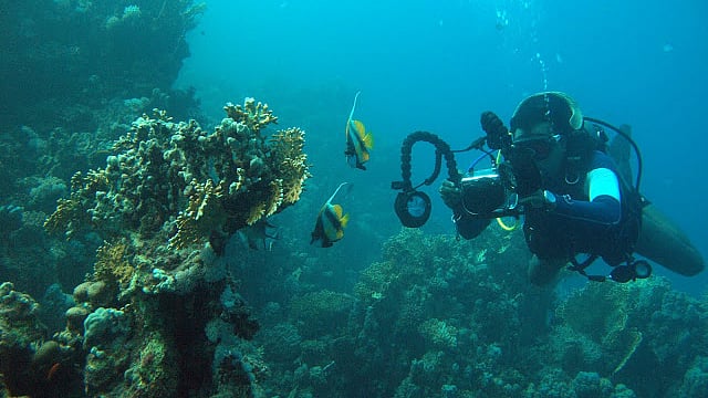 Have you dived into these iconic wreck sites yet? (Photo Courtesy: Venkat Charloo/Barracuda Diving India)