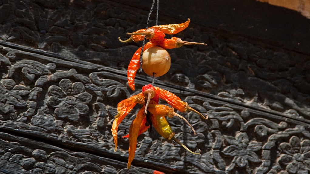 Image used for representational purposes.