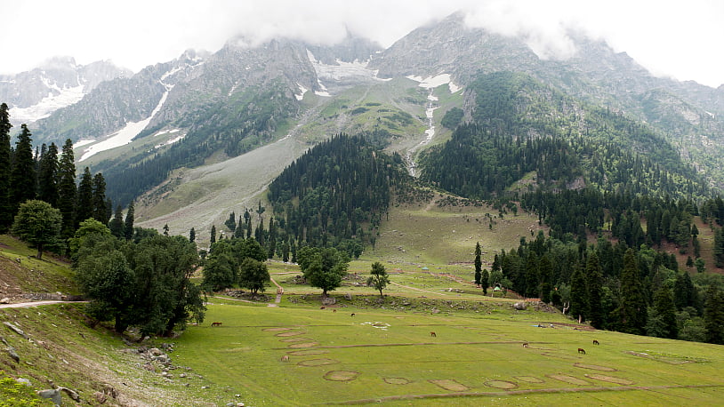 <div class="paragraphs"><p>The first multiplex in Kashmir will have three movie theatres with a total capacity of 520.</p></div>