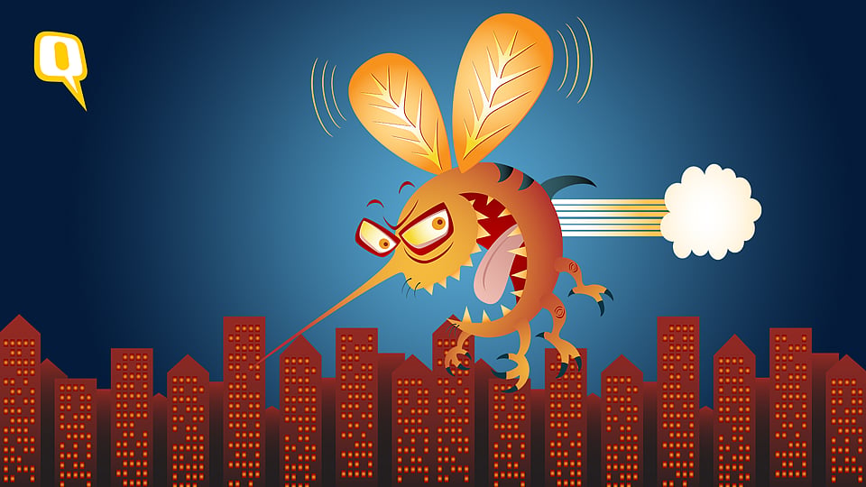 Microsoft is testing a smart trap to isolate and capture Aedes aegypti mosquitoes – known Zika carriers – for study by entomologists.