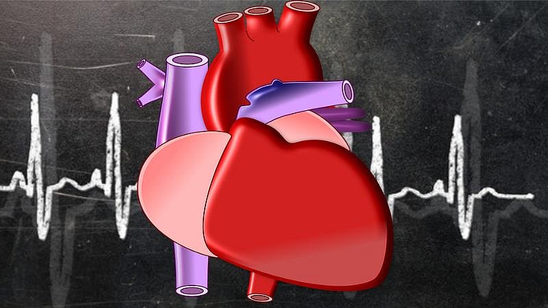 7 reasons to love your heart even more! (Photo: iStock)