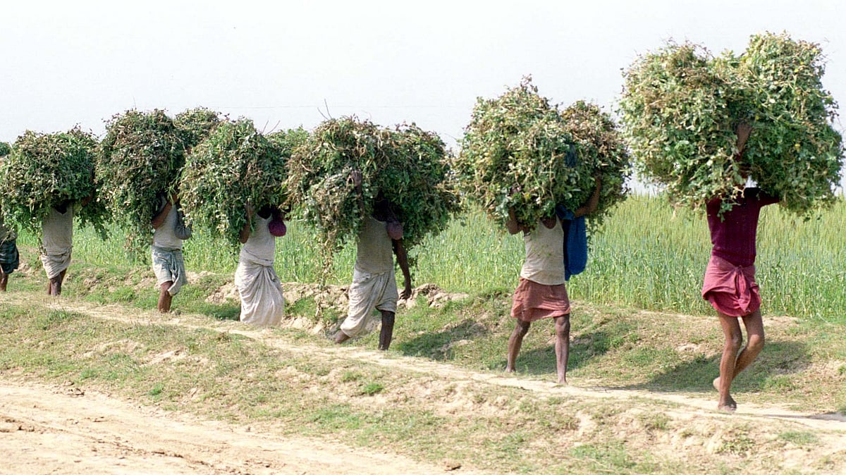 Image used for representational purposes.