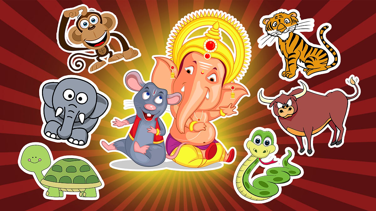 Don’t eat these, okay? (Photo: <b>The Quint</b>/Lijumol Joseph)