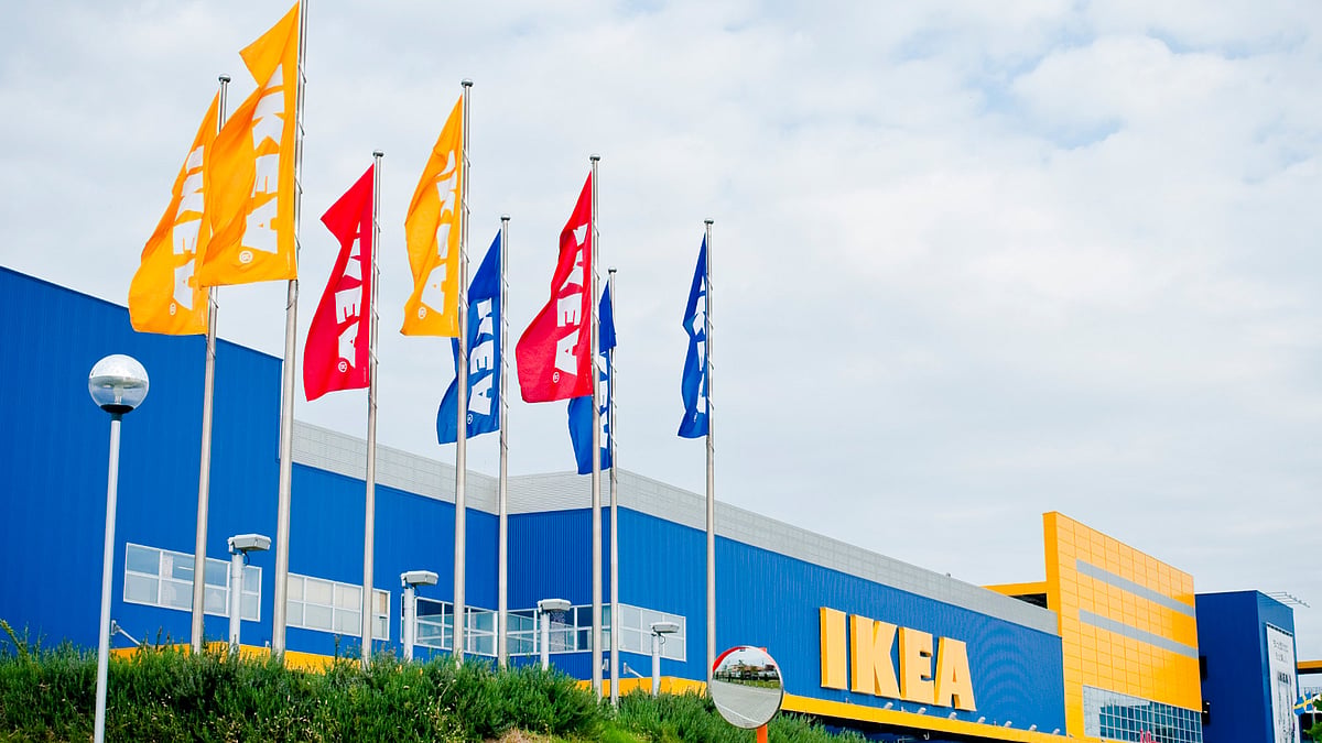 <div class="paragraphs"><p>Ikea store. </p></div>