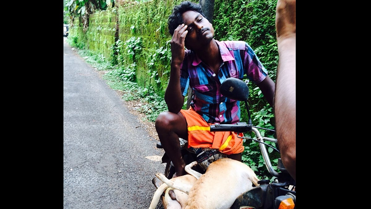 Jose Mavely gave an undertaking to the police stating that he would cease to urge people to kill stray dogs. (Photo courtesy: <i>The News Minute</i>)