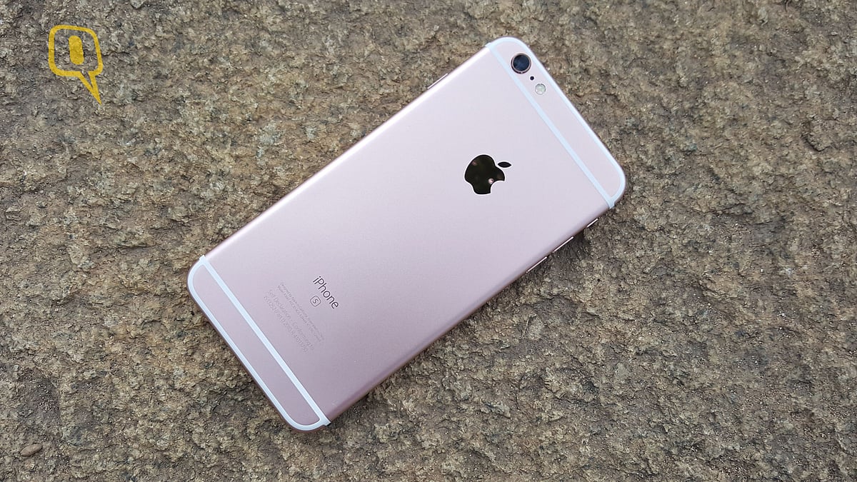 Apple iPhone 6s Plus Rose Gold. (Photo: <b>The Quint</b>)