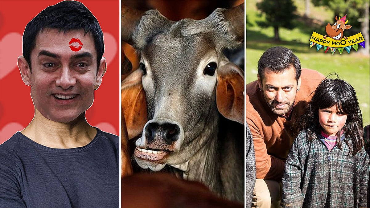 Aamir Khan’s controversial comments, the cow and Salman’s <i>Bajrangi Bhaijaan</i> (not necessarily in that order) dominated 2015.