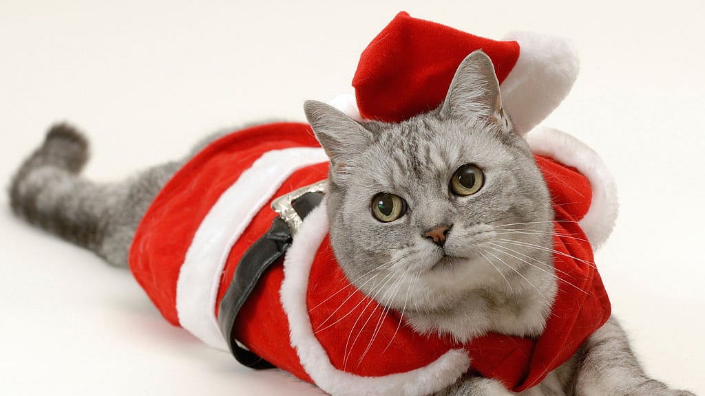 Wishing you all a merry Christmas. (Photo: iStockphoto)