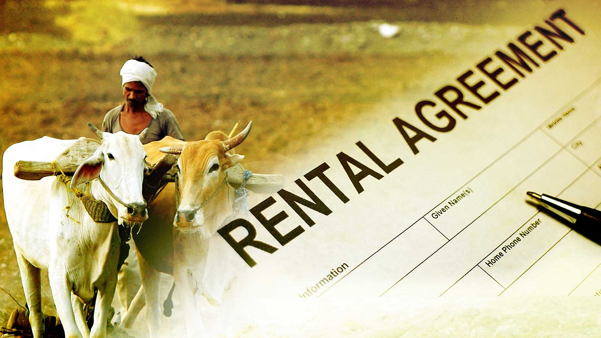  A NITI Aayog committee is drafting a model farmland leasing law which will allow tenancies without ownership rights. (Photo: <b>The Quint</b>)