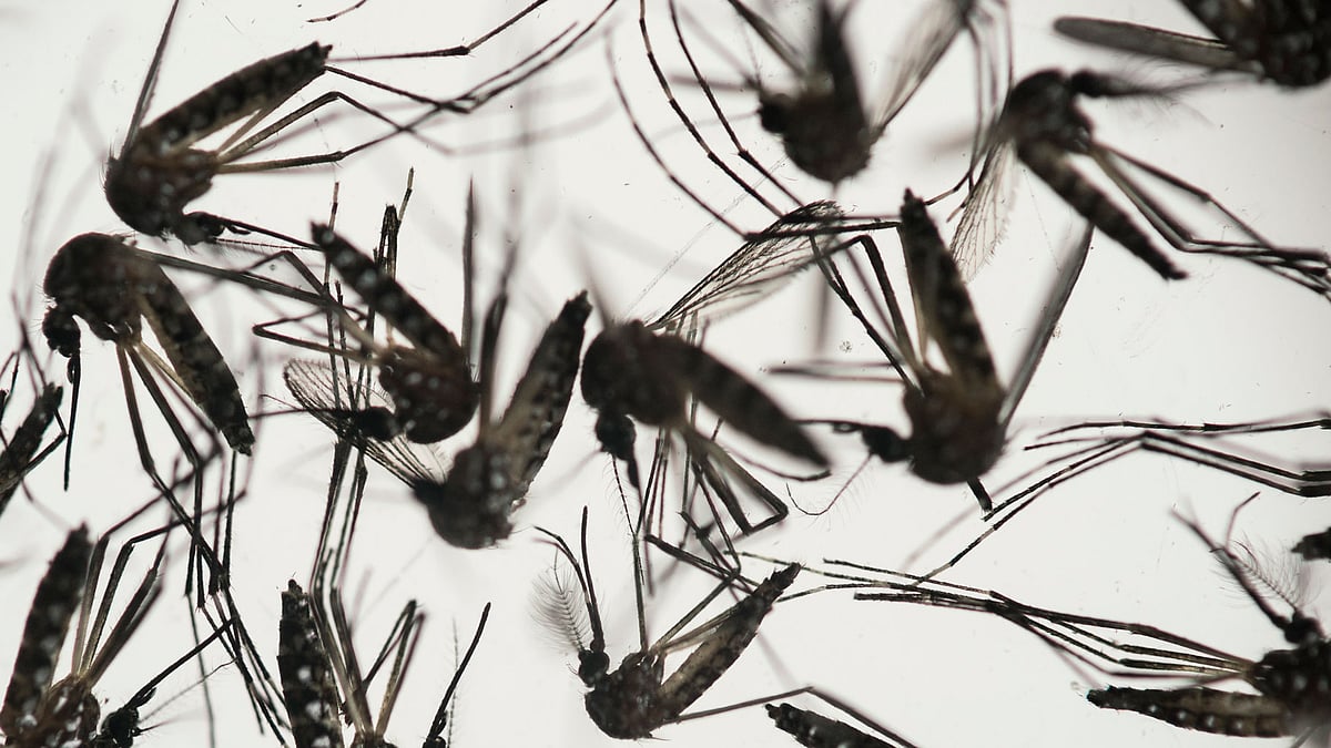 The US said it will block people who have visited regions impacted by the virus from donating blood in a bid to fight its spread. (Photo: AP)