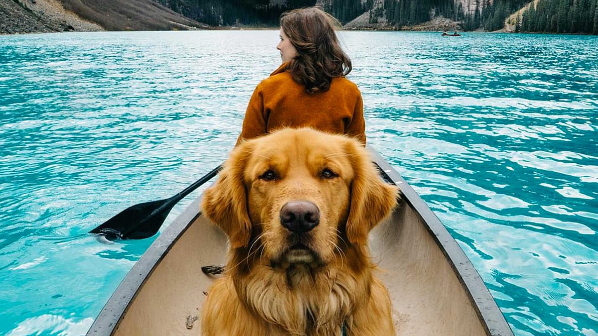 Aspen the mountain Pup. (Photo Courtesy:&nbsp;<a href="https://www.instagram.com/aspenthemountainpup/">Instagram</a>)