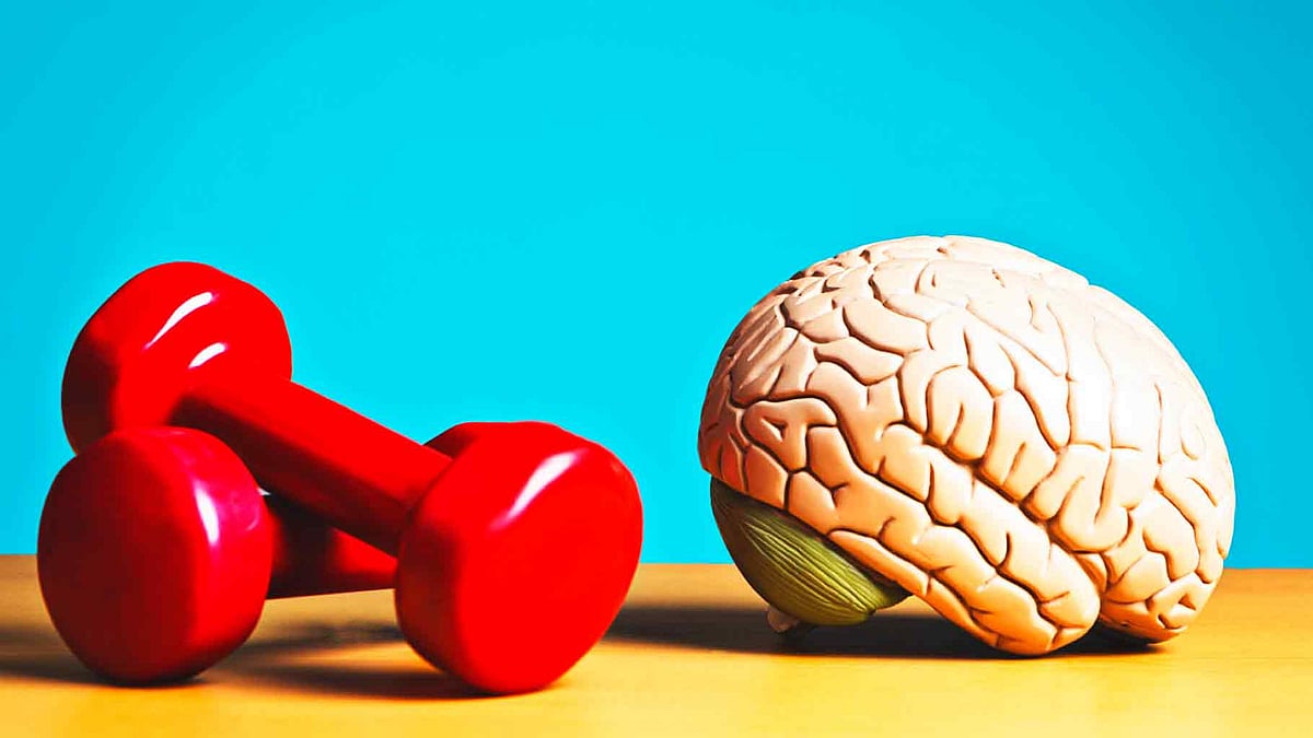 A new study has used rodents to determine which exercises work best for the brain.