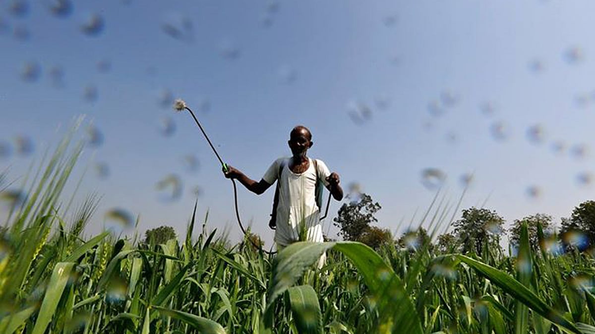 

A farmer sprays a mixture of fertilizer and pesticide onto his wheat crop on the outskirts of Ahmedabad. (Photo: Reuters)
