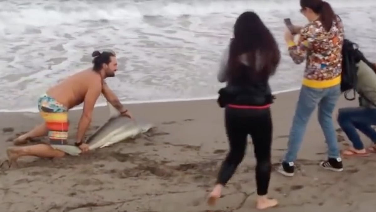 A screen grab of fisherman holding the shark for some photos. (Photo Courtesy: YouTube/<a href="https://www.youtube.com/watch?v=iSbRhtVzViQ">Zero Alien</a>)