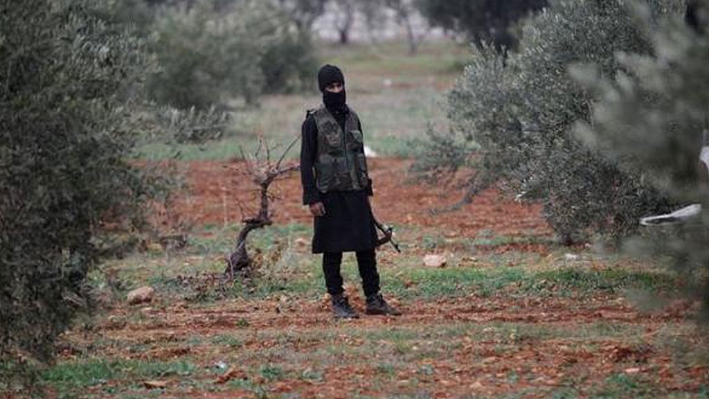 Nusra Front fighter stands in an olive field. (Photo: Reuters)
