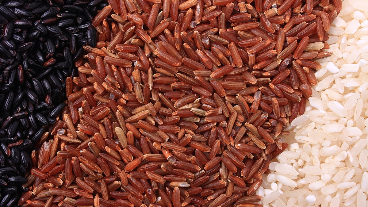 Basmati rice allegedly worth Rs 1,000 crore was fraudulently diverted to Dubai instead of being exported to Iran. (Photo: iStockphoto)