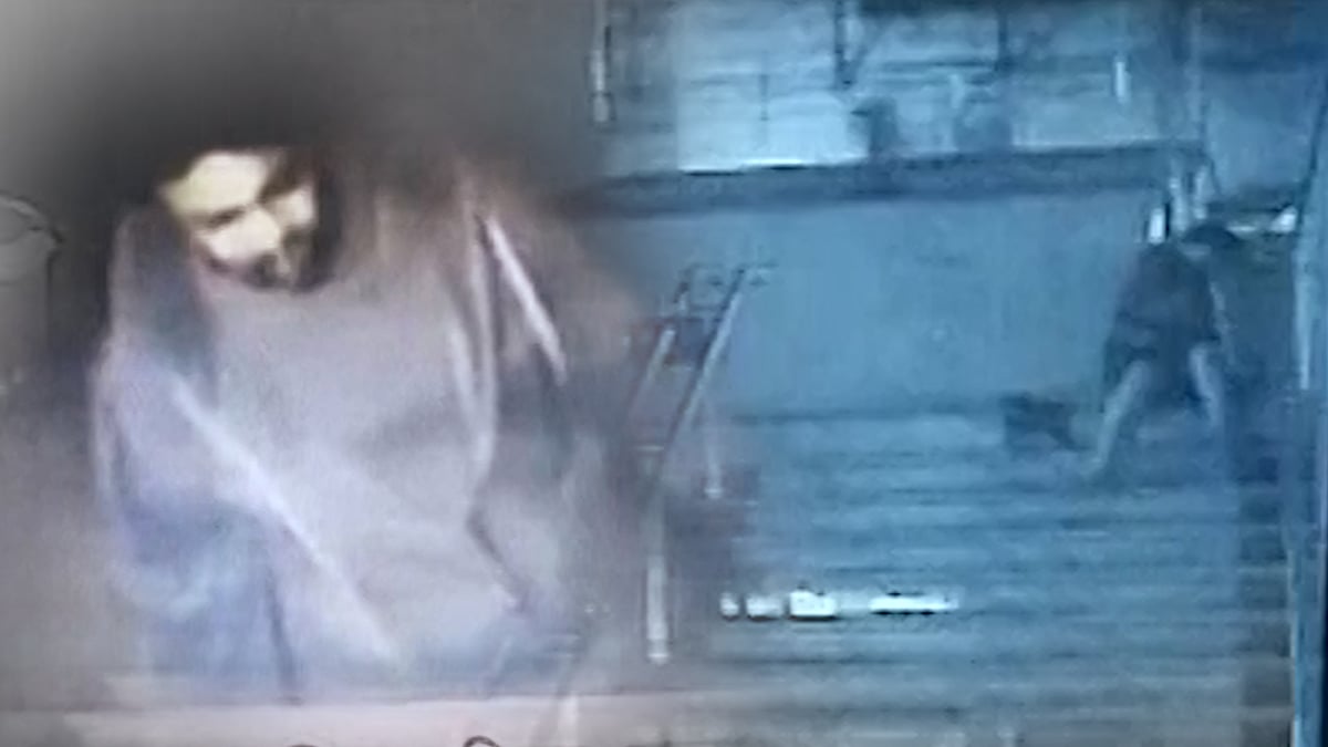 A man allegedly stabbed three stray dogs and a puppy to death, outside Green Park metro station in South Delhi. (Photo: ANI screengrab)