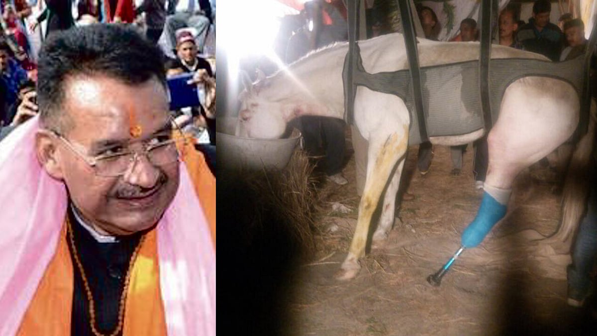 BJP MLA Ganesh Joshi, accused of attacking police horse Shaktiman during a BJP protest earlier this week, was arrested in Dehradun on Friday morning. (Photo: ANI Screengrab)