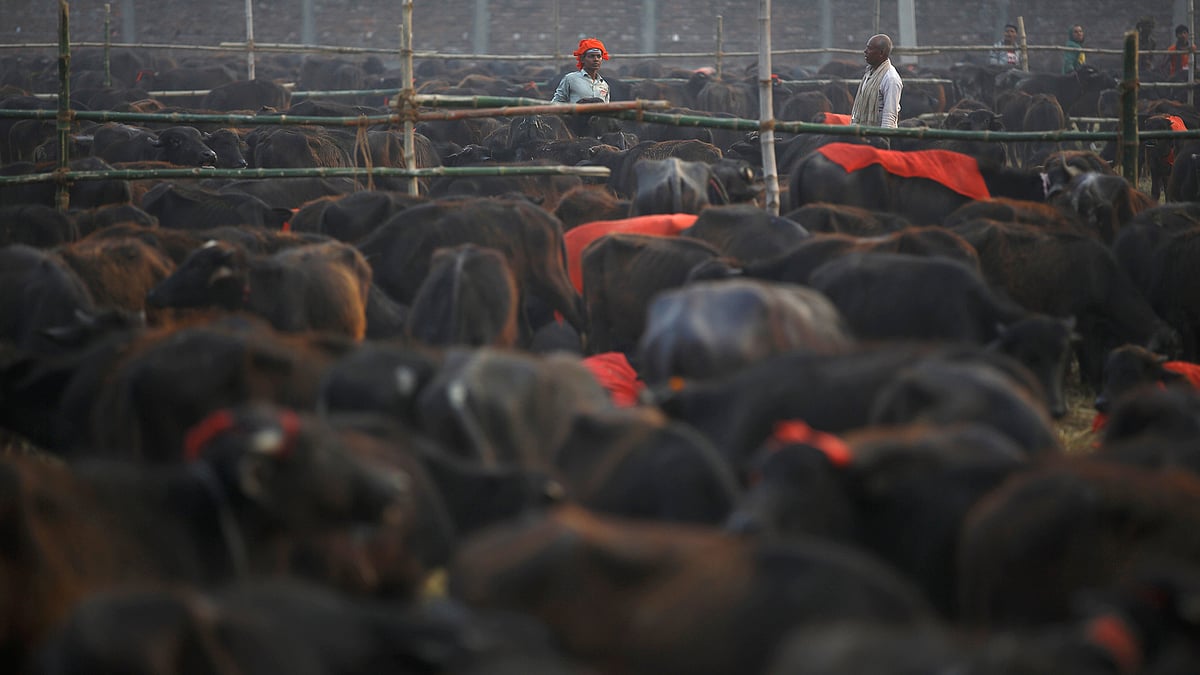 Image used for representation purpose only. (Photo: Reuters)
